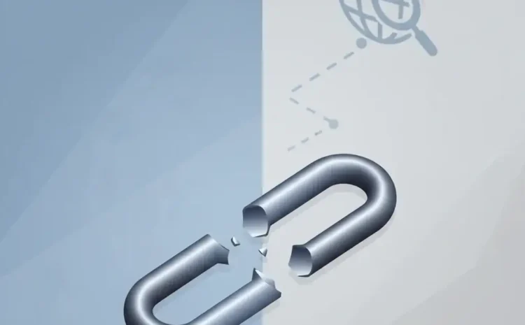 بک لینک نوفالو