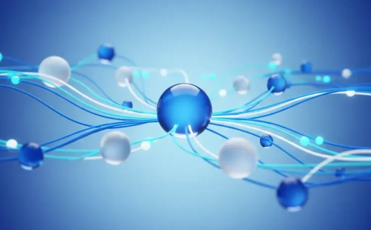 بک لینک دائمی رایگان