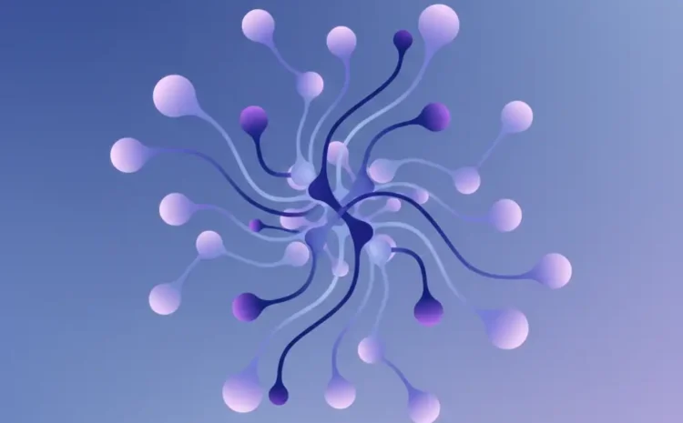 ابزار بررسی بک لینک رایگان